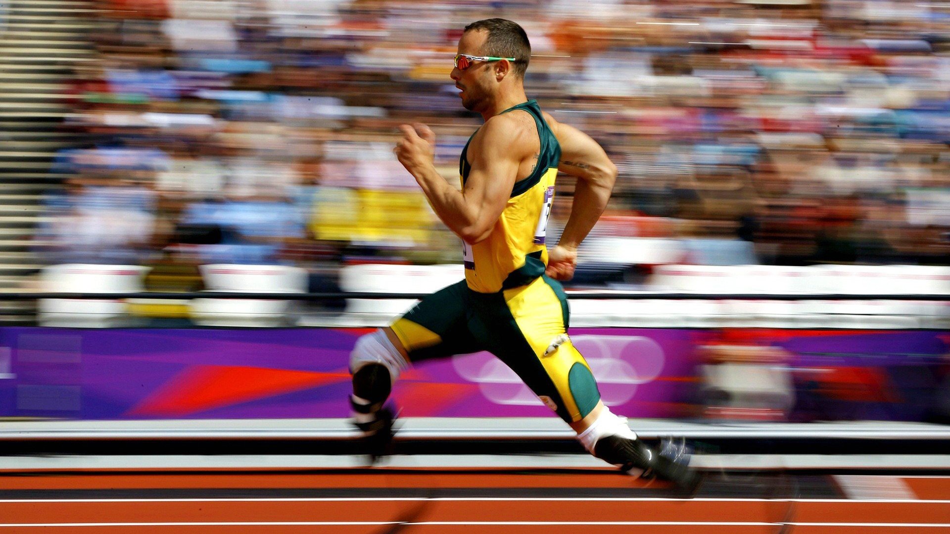 AI技术进入体育领域