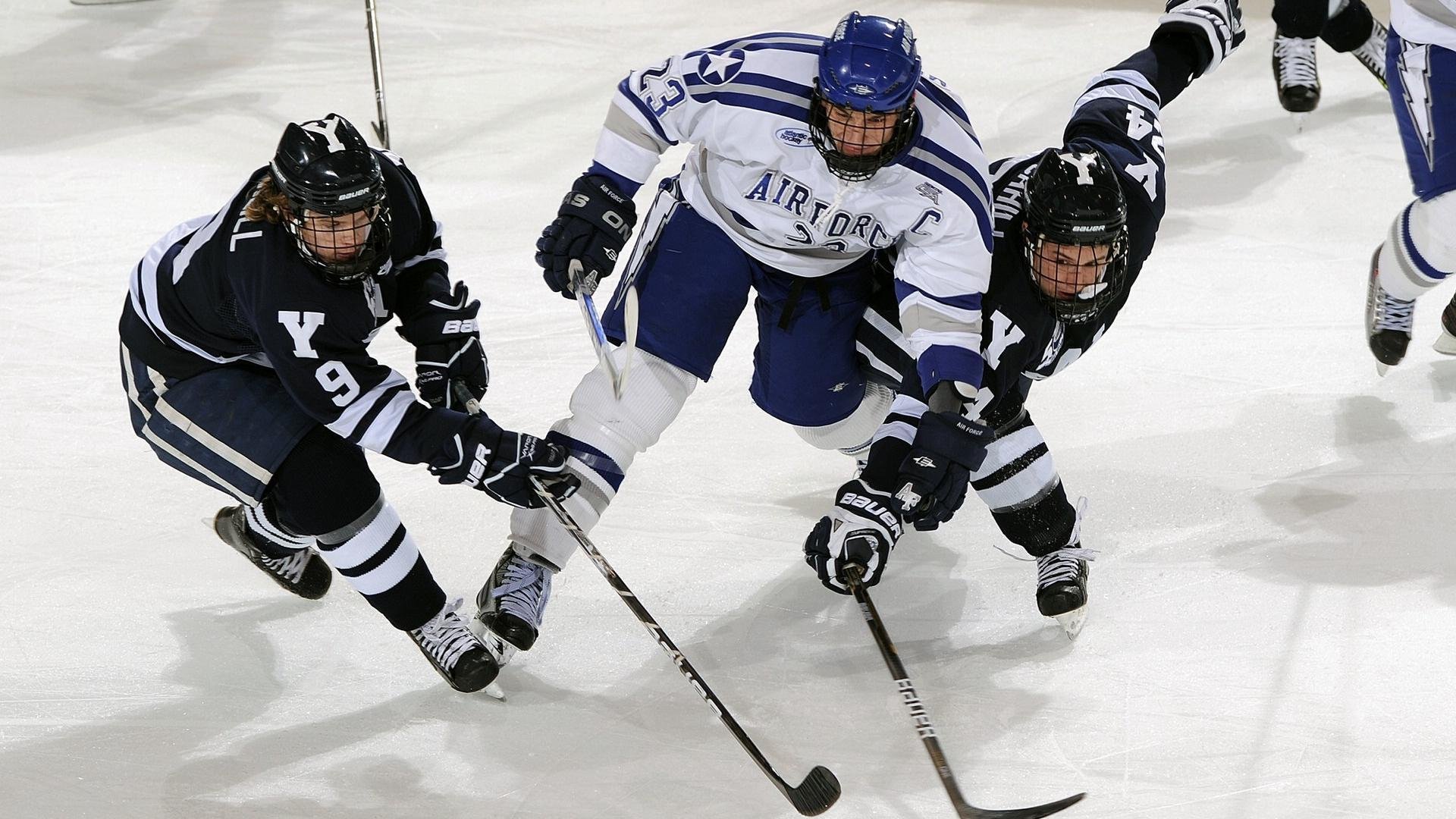 2026年世界武术太极拳公开赛 海外选手摘金引发关注