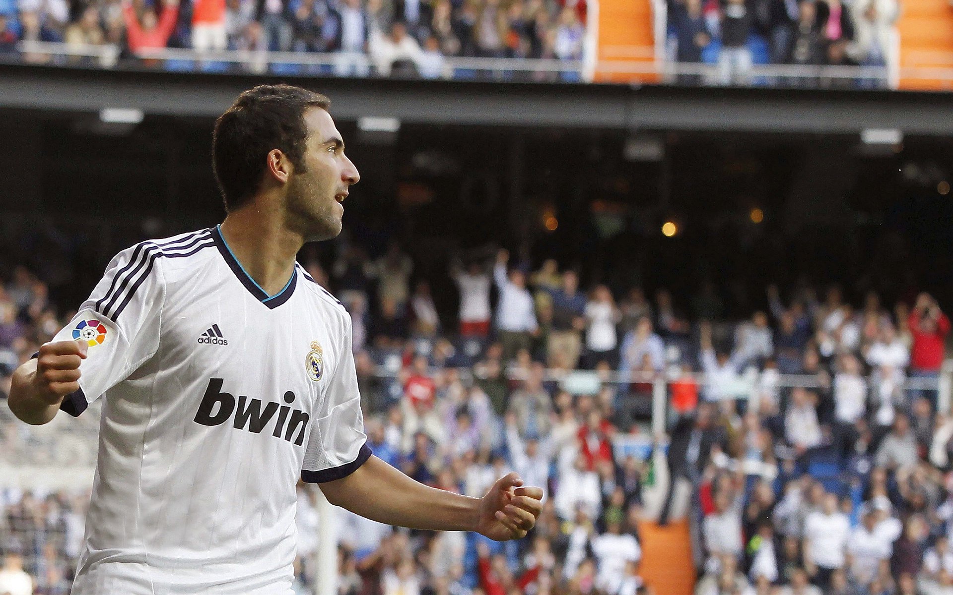 国际体育赛事热点动态盘点